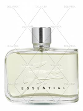 Купить мужскую туалетную воду Essential на разлив оптом